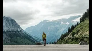 GRIZZLY BEAR ENCOUNTER IN GLACIER