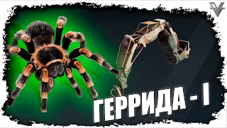 ГЕРРИДА-1. АРАХНОФОБЫ ВЫШЛИ ИЗ ЧАТА. CROSSOUT