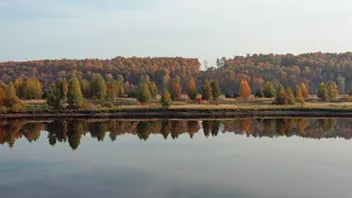 Autumn forest - cinematic video. Осенний лес.