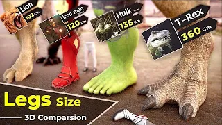 Creatures Legs size Comparison 2024