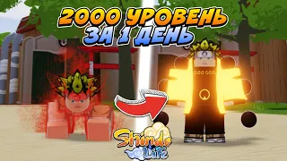 Shindo Life - Как Быстро Прокачать ХВОСТАТОГО в Шиндо Лайф 😱 Roblox Shinobi Life 2