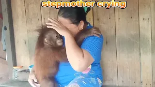 Baby Orangutan And Mom Cry