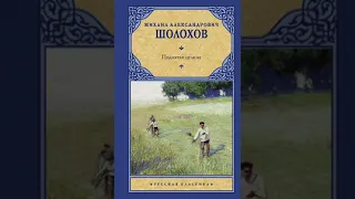 Михаил Шолохов. Поднятая целина. Книга первая. Глава 1-2.