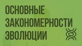 Основные закономерности эволюции. Видеоурок по биологии 11 класс