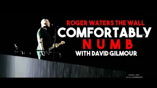 Roger Waters Feat. David Gilmour - Comfortably Numb (Live O2 Arena - The Wall 2011)