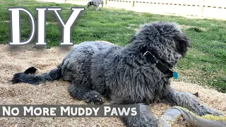 Muddy Yard Fix for Dog Paws tracking wet mud in house - DIY How to Solution Pine Shavings