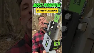 Can Battery Chainsaws Hack It? 🪓🪓🪓