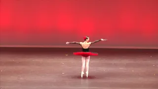 Pas de Deux, Don Quixote, Isaac hernández y Tamara Rojo