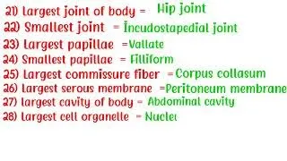 Various part of human body  ( Smallest , Largest, Longest , Strongest ) #human #body #part