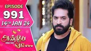 Anbe Vaa Serial | Episode 991 | 14th Jan 2024 | Virat | Shree Gopika | Saregama TV Shows Tamil