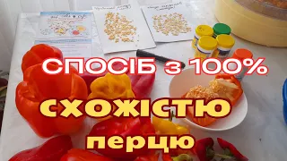 НЕ ГАЙТЕ ЧАСУ❗️ЗРОБИТЕ ЗАРАЗ - 🌱 РОЗСАДА ПЕРЦЮ🌶 БУДЕ СУПЕР👍 НАВЕСНІ