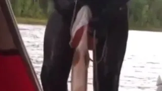 Funny Russian Fishing