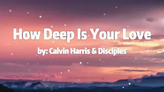 Calvin Harris & Disciples - How Deep Is Your Love (Lyrics)