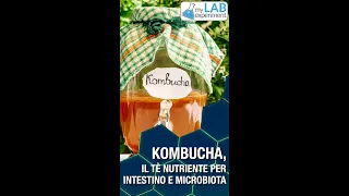 KOMBUCHA, il tè nutriente per intestino e microbiota