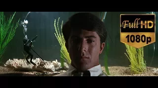 The Graduate - Theatrical Trailer Remastered in HD