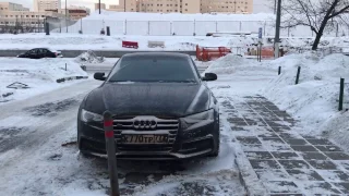 запуск Audi A5 3.0 TDi в минус 25