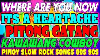 PITONG GATANG - KAWAWANG COWBOY ✅ BEST SLOW ROCK LOVE SONGS NONSTOP BY REY MUSIC, PAPAJAY, EMERSON