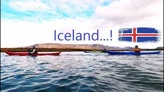 Iceland Sea Kayaking - Eagles, Islands, Wild Camping, Reykjavik, whirlpool & surfing urchin