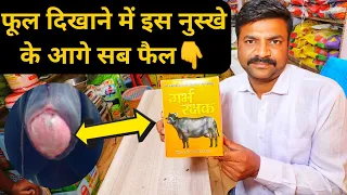 पीछा दिखाने का पक्का इलाज विक्की पंसारी📞7015994967 Cattle Prolapse Treatment solution in Hindi