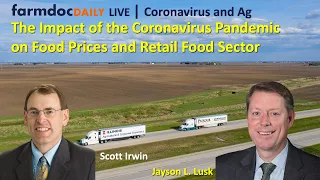 The Impact of the Coronavirus Pandemic on Food Prices and  Retail Food Sector