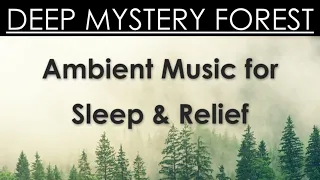 DEEP MYSTERY FOREST | Ambient Music for Sleep, Anxiey Relief & Mindfulness | Black Screen