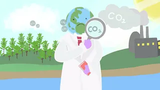 How Plants Respond to Increasing Levels of Atmospheric Carbon Dioxide?