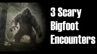 3  SCARY BIGFOOT ENCOUNTERS #bigfoot #dogman