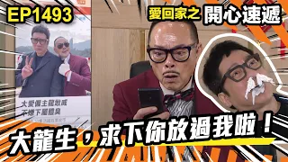 愛．回家之開心速遞 | 第1493集（加長版精華） | 大龍生，求下你放過我啦！