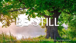 Be Still: Instrumental Worship & Prayer Music with Nature 🌿CHRISTIAN piano