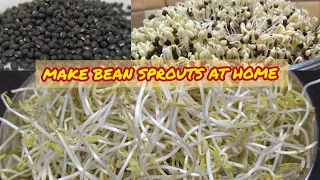 Make Bean Sprouts at home -  How to make bean sprouts