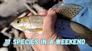 Multi-species Fishing In Utah: 30-Hours of Fishing