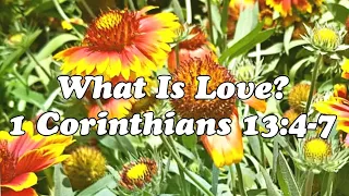 What Is Biblical Love 💕  | 1 Corinthians 13:4-7 #verseoftheday #scripture