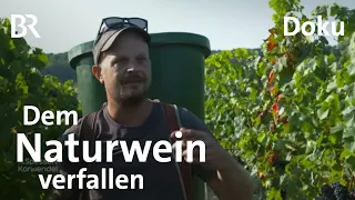 Wagnis Naturwein: Winzer Michael Völker aus Kitzingen | Zwischen Spessart und Karwendel | BR