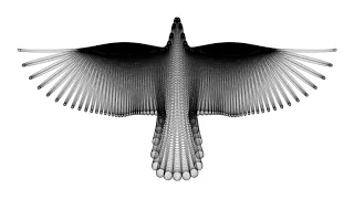 A Bird in Flight | Wikipedia audio article
