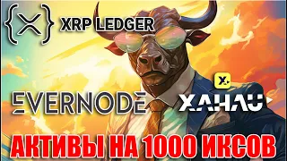 XRP LEDGER: EVERNODE EVR И XAHAU XAH АКТИВЫ НА 1000 ИКСОВ? ГДЕ И КАК ИХ МОЖНО КУПИТЬ!