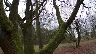 Tree Glide / Ethix Flat Rats - Acrobrat - RunCam Hybrid