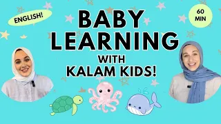 Baby Learning With Kalam Kids - First Words, Songs and Nursery Rhymes for Babies - Toddler Videos