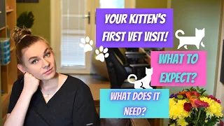 Your kitten's first vet visit! What should you know? What to expect? vaccinations and more