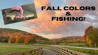 Trout, Pike, and Peak Fall Colors! (Allegany State Park Fall 2023 Fishing)