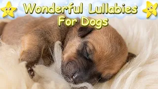 Relaxing Sleep Music For Dogs And Puppies ♫ Calm Your Dog Effectively
