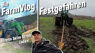 "Wühlen bis er aufliegt" - Zinken abgebrochen & sich anmeckern lassen / Vlog 63