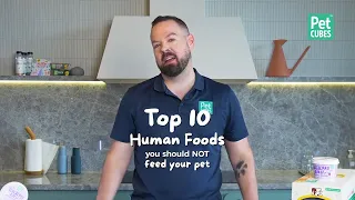 Top 10 Human Food You Should NOT Feed Your Pet