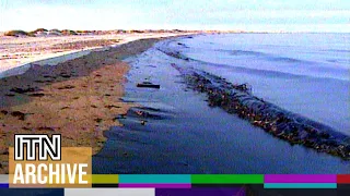 1991: Gulf War: Persian Gulf Oil Spill