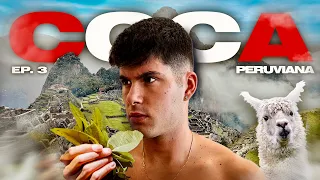 Che effetto fanno le FOGLIE di COCA? - Perù con una sconosciuta Ep.3