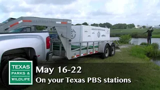 PBS Preview - Fishing the Texas Coast - #2906