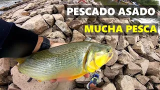 PESCA Y COCINA, DORADOS Y BOGAS CON MOJARRERO, PESCADO ASADO, PESCA URBANA