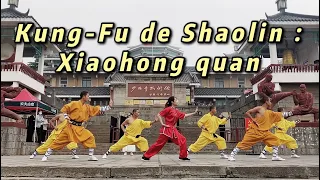 Kung-Fu de Shaolin : Xiaohong quan