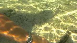 Sanyo Xacti CA100 underwater footage in Fiji