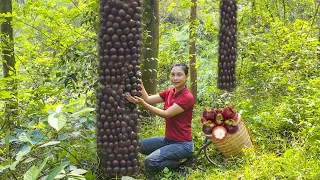 How to harvest RED mangosteen and sell it at the market - Harvesting and cooking