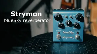 Strymon blueSky reverberator 🎸 Обзор в стерео